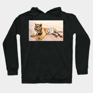 Tiger Cub Lying Down, Thailand Hoodie